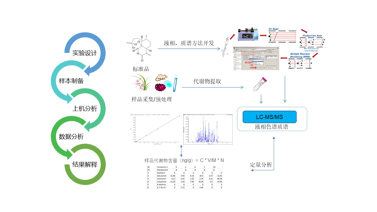 极性物质精准靶向代谢组学