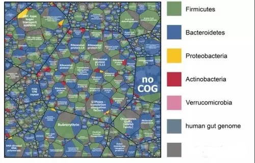 玩儿转多组学的分析组合拳 泰森多边形制图全攻略 云生物