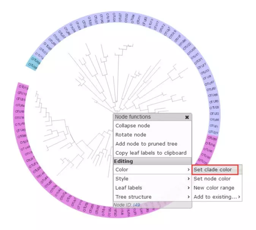 进化树专题（八）系统进化树美化-iTOL