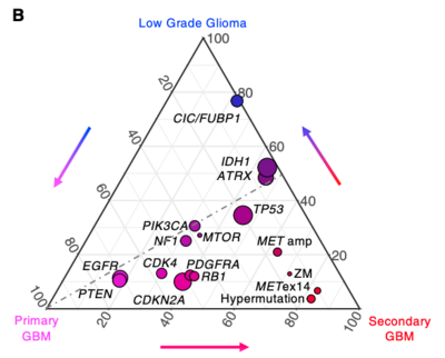triangle(三角图),3组之间某个指标的相关性